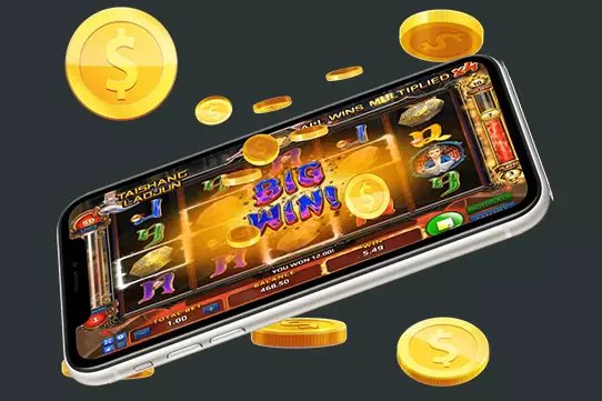 55 kd bet